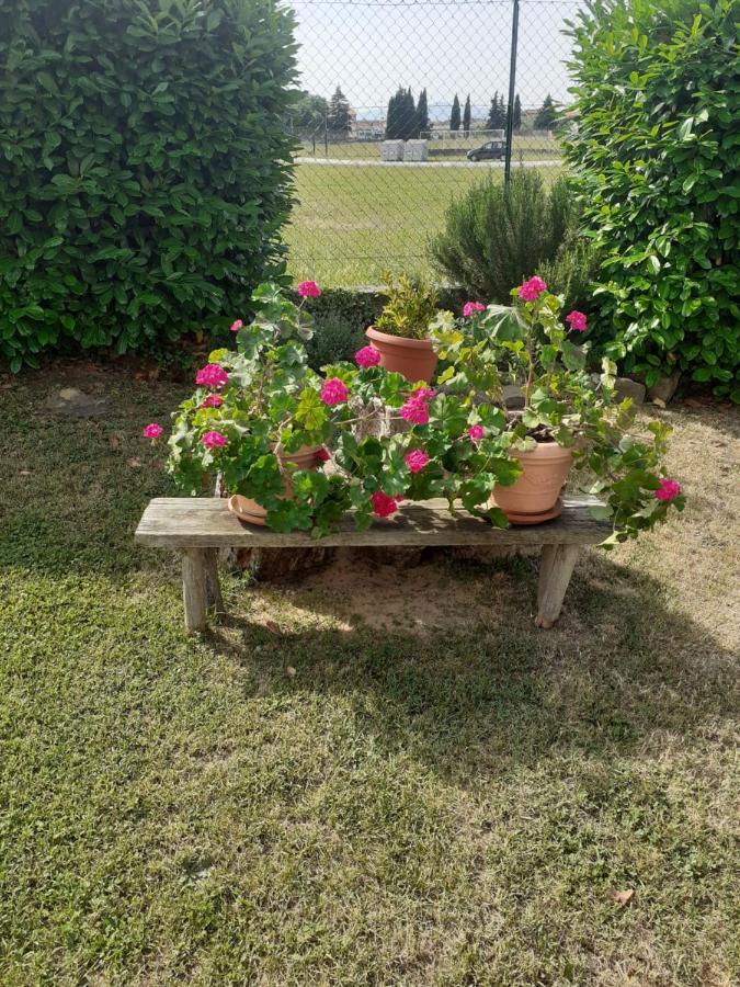 Bed and Breakfast La Fiora Sansepolcro Exterior foto